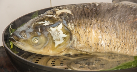 Ctenopharyngodon idellus--grass carp, such as catfish and carp, body pollutants will be relatively...