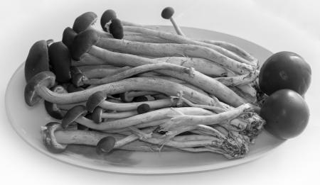 agrocybe cylindracea for soup