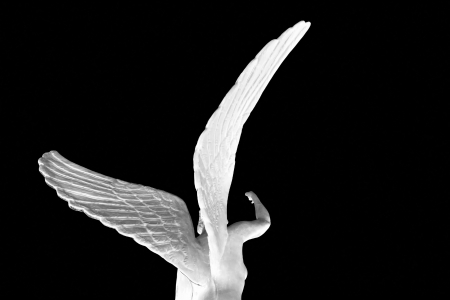 the angel try to catch the futureの写真素材