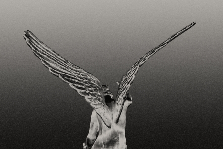 the angel try to catch the future