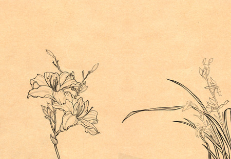 theme of nature, the flower--decoration, freehand sketchingの写真素材