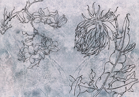 Classical Chinese painting--flowerの写真素材