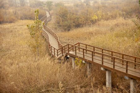 Plank on the Yellow River Wetland Parkの写真素材