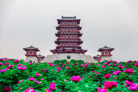 Luoyang Peony Museumのeditorial素材