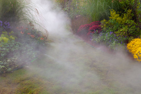 Gardening Exhibition of Foggy Flower Pathの写真素材