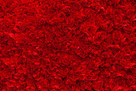 A solid rose wall backgroundの写真素材