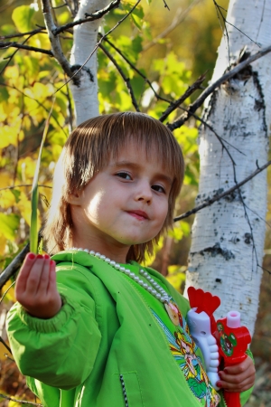 Girl in the forest near the birchの写真素材