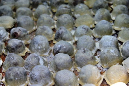 Homemade ravioli rawの写真素材