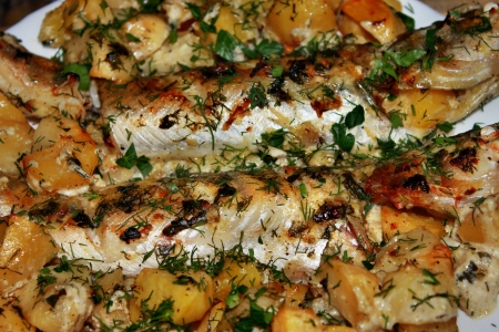 Ready meals, fish pike perch with potatoes on a plateの写真素材