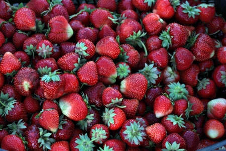Ripe fresh strawberriesの写真素材