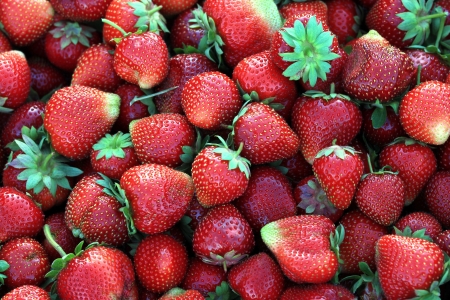 Background of red ripe strawberriesの写真素材