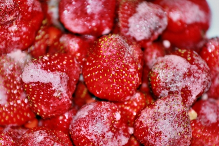 Ripe red strawberries in powdered sugarの写真素材