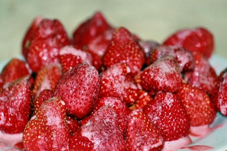 Juicy strawberries in powdered sugarの写真素材
