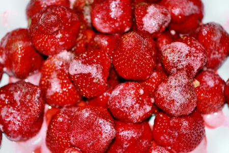 Juicy strawberries in strawberry foamの写真素材