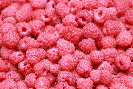 Ripe sweet raspberries