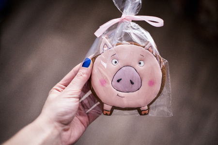 the girl with blue nails holds in hand a symbol of 2019 - a pig. pink gingerbread in the form of a mumps.の写真素材