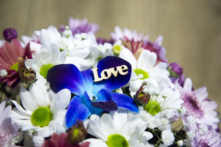 wooden inscription Love on a petal of a blue flower. Fresh flowers against the background of. Bouquet of spring flowers.の写真素材