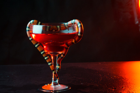 transparent glass with a snake against a dark background. close up. liquid in a glass.の写真素材