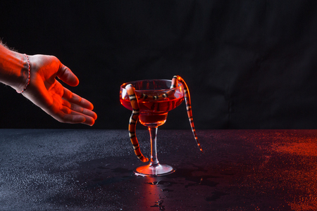 snake in a glass with red liquid and a male brutal hand against a dark background.の写真素材