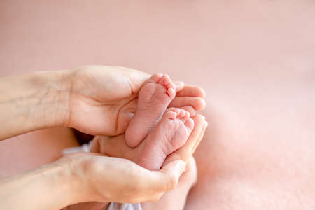Photos of small children's legs in mom's hands on a pink background. close-upの写真素材