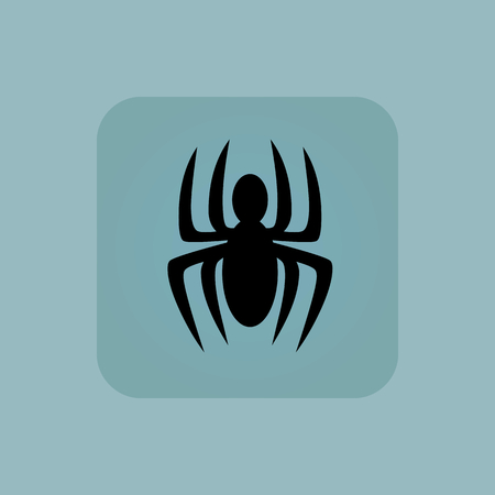 Image of spider in square, on pale blue backgroundのイラスト素材