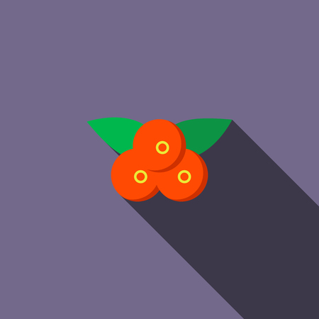 Cranberry icon in flat style with long shadowのイラスト素材