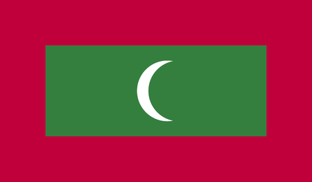Maldives flag image for any design in simple styleのイラスト素材