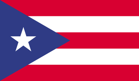 Puerto Rico flag image for any design in simple styleのイラスト素材