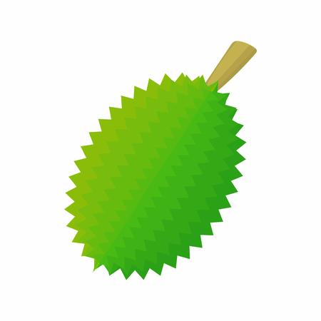 Whole durian icon in cartoon style on a white backgroundのイラスト素材