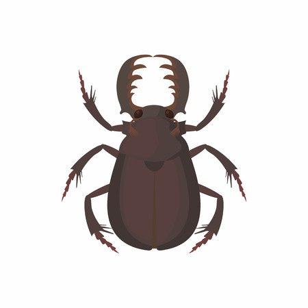 Bug icon in cartoon style isolated on white backgroundのイラスト素材