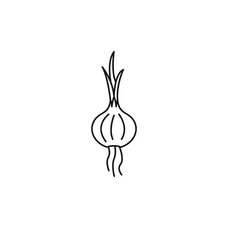 Onion icon in outline style isolated on white backgroundのイラスト素材