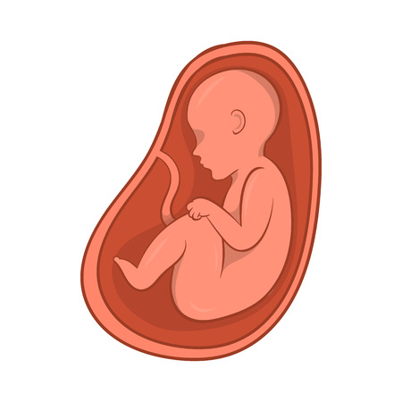 Embryo in stomach icon in cartoon style isolated on white background. Pregnancy symbolのイラスト素材