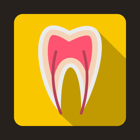 Tooth cross section icon in flat style on a yellow backgroundのイラスト素材
