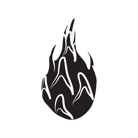 Dragon fruit icon in simple style on a white backgroundのイラスト素材