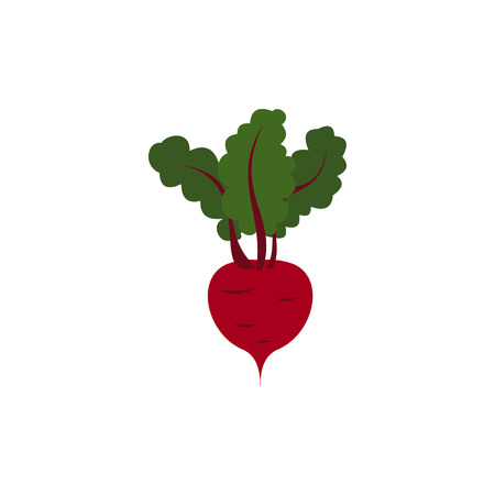Beetroot with leaves icon in flat style on a white backgroundのイラスト素材