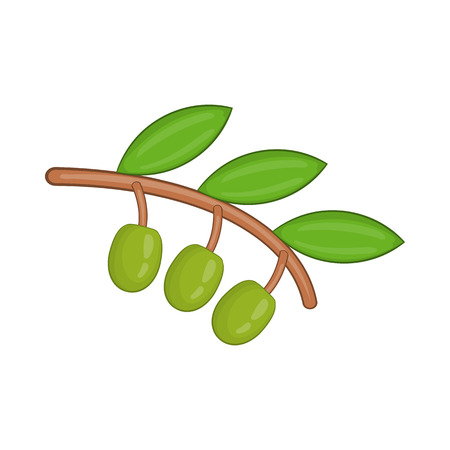 Olive branch with green olives icon in cartoon style on a white backgroundのイラスト素材