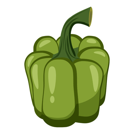 Green pepper icon. Cartoon illustration of green pepper vector icon for webのイラスト素材