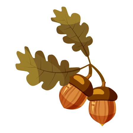 Acorn icon. Cartoon illustration of acorn vector icon for webのイラスト素材