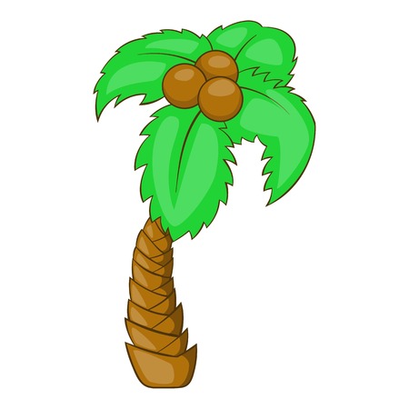 Palm icon. Cartoon illustration of palm vector icon for webのイラスト素材