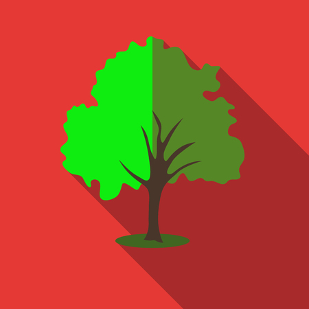 Tree with green crown icon. Flat illustration of willow tree vector icon for webのイラスト素材