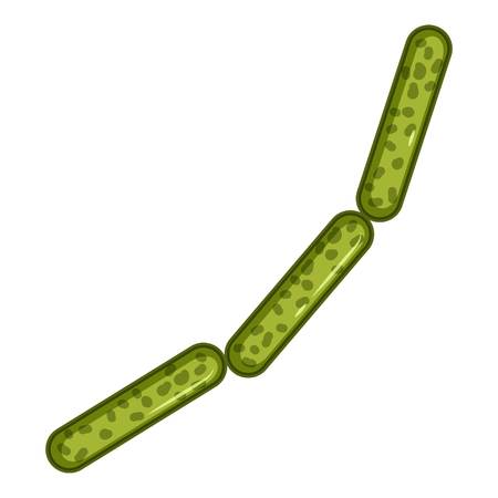 Green rod shaped virus icon. Isometric 3d illustration of rod shaped virus vector icon for webのイラスト素材