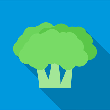 Broccoli icon. Flat illustration of broccoli vector icon for webのイラスト素材