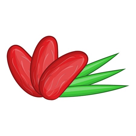 Dates with palm leaves icon. Cartoon illustration of dates vector icon for web designのイラスト素材
