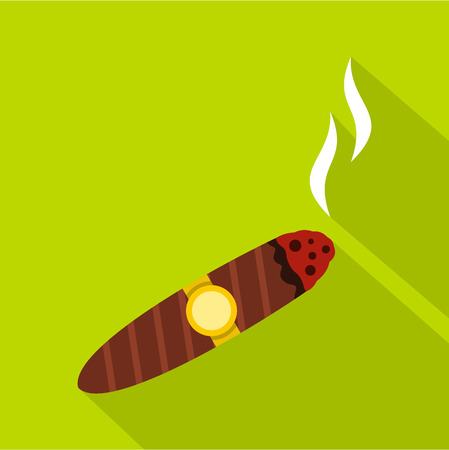 Brown cigar icon. Flat illustration of cigar vector icon for web isolated on green backgroundのイラスト素材