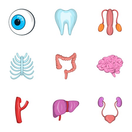 Structure of human icons set. Cartoon illustration of 9 structure of human vector icons for webのイラスト素材