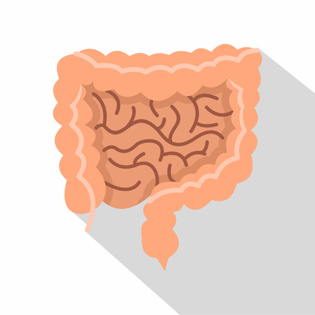 Intestines icon. Flat illustration of intestines vector icon for webのイラスト素材