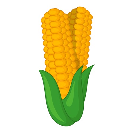 Corn icon. Cartoon illustration of corn vector icon for web designのイラスト素材