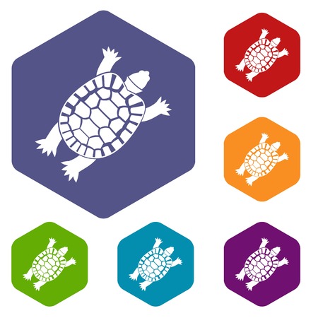 Turtle icons set rhombus in different colors isolated on white backgroundのイラスト素材