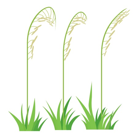 Three plants icon, cartoon styleのイラスト素材