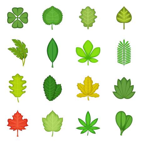 Different leafs icons set, cartoon styleのイラスト素材